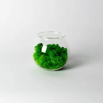 Dóza na potraviny Dóza - malá koule se sobím mechem - světle zelená