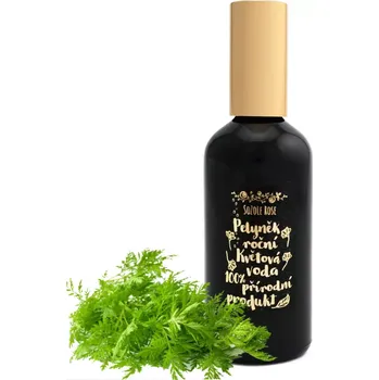 Květová voda Pelyněk roční v rozprašovači - 100ml