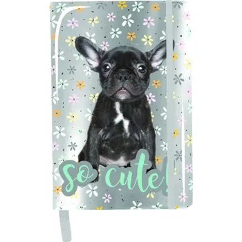 Notes A5 Paso šedý