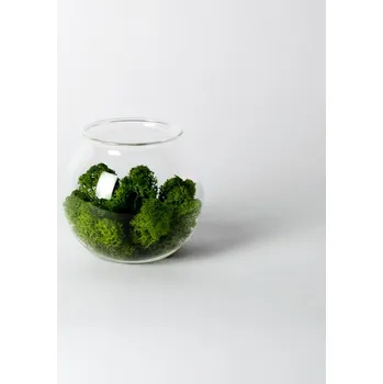 Dóza na potraviny Dóza - malá koule se sobím mechem - středně zelená