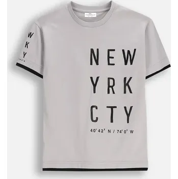 Dětské tričko šedé chlapecké s krátkým rukávem velikost 146 Coccodrillo ZC