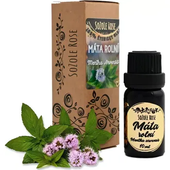 Éterický olej Máta rolní - 10ml