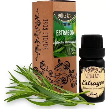 Éterický olej Estragon - 10ml