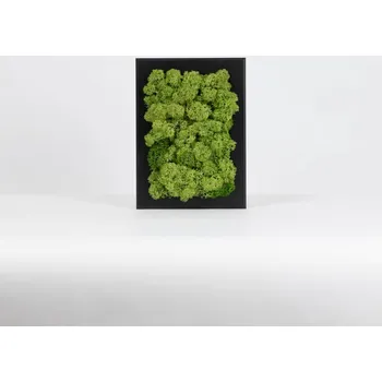 Rám na obraz Mechový miniobraz | 15x10 cm | středně zelený - černý rám