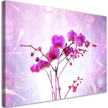 Obraz Obraz na plátně , Éterická orchidej 60x40 60x40