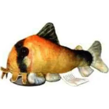 plyšák Plyšák Matea corydoras