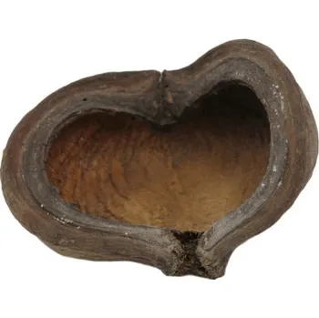 Dekorace do akvária Plody Thelambu