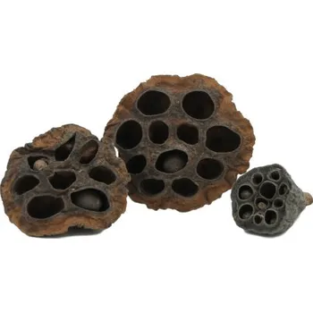 Dekorace do akvária Plody Leknínu 3 ks