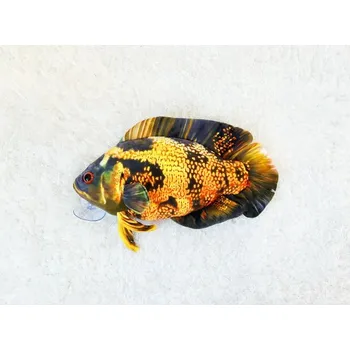 plyšák Plyšák Oscar žlutý malý