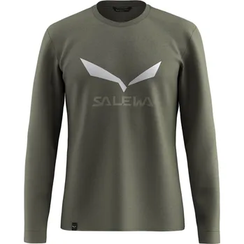 Salewa Solid Logo Dry M L/S Tee faded green - XL