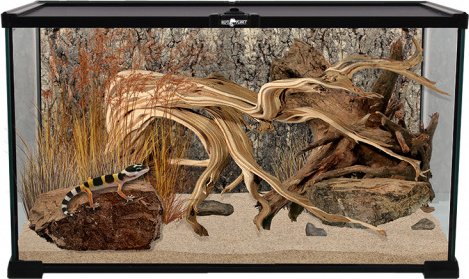 Terárium REPTI PLANET skleněné 50,5 x 30,5 x 25 cm