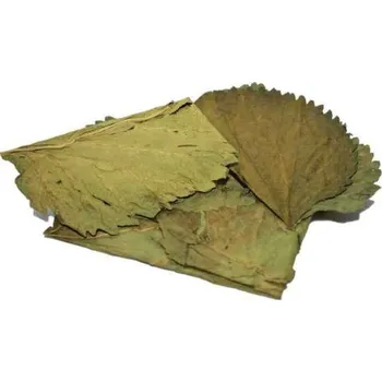 Krmivo pro rybičky Listy Morušovníku 10 ks