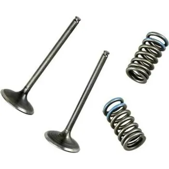 Ocelový výfukový ventil WÖSSNER - Honda CRF450R VKS4002B-INT