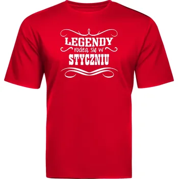 Pánská móda Pánské Pánské tričko kulatý výstřihem Fruit of the Loom velikost L