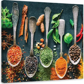 Obraz OBRAZ DO KUCHYNĚ Bylinky koření do kuchyně 30x30