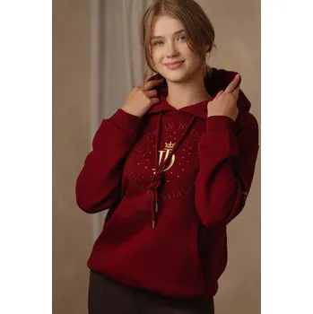 Pánská mikina Mikina Mila Riding - vínová, XS