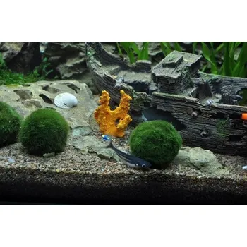 Akvarijní rostlina Cladophora aegagropila 3ks - mini