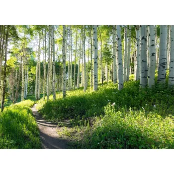 Fototapeta Fototapeta Wallarena Vliesová 3D krajina vícebarevná 350 x 250 cm