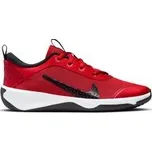 Nike Omni Multi-Court Big Kids Indoor Court Shoes 38