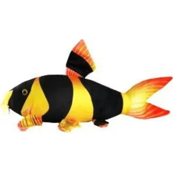 plyšák Plyšák Clown loach