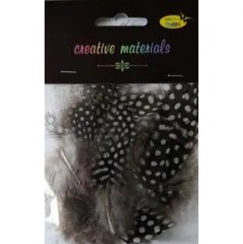 Set školních potřeb Pióra perliczek 10-15 cm 15szt