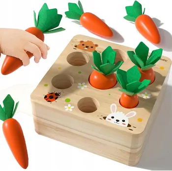 Dřevěná hračka Montessori Hračka Třídič Kostek Dřevěná Mrkev