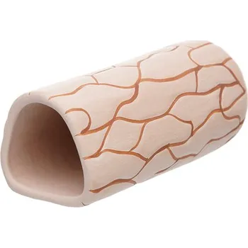 Akvaristika Pleco cave Camel