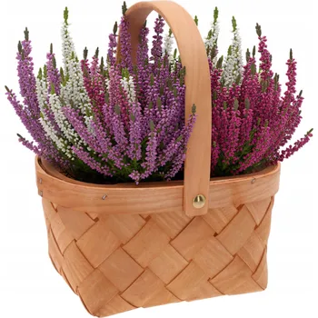 Úložný box Košík dřevěný hnědý 1 ks