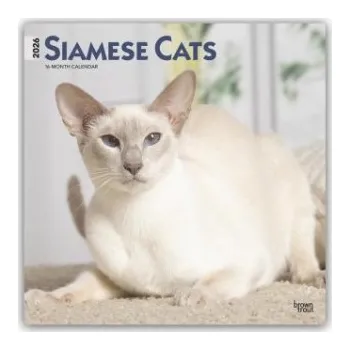 Siamese Cats - Siamesische Katzen - Siamkatzen 2026 - 16-Monatskalender (BrownTrout Publishers Inc)(Kalendář)