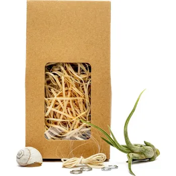 Gardners Šnek "Vyrob si sám" s Tillandsií caput medusae Tillandsie, kykatka