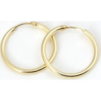 Náušnice Stříbrné pozlacené naušnice kruhy 22,5 mm STNAU01133F