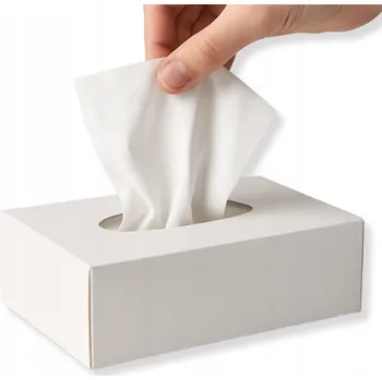 Papírový kapesník Hygienické kapesníčky bez vůně OveePro 2 vrstvé, 100 ks