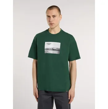 Pánské tričko Dickies SEVIER TEE SS PIN Velikost: M