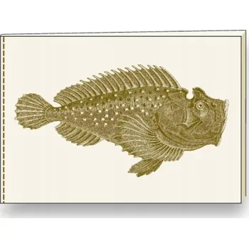 Zápisník Zápisník A5 Rossi vícebarevný