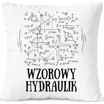 Polštář Dárek Polštář pro instalatéry s potiskem , bílý PoliDraw