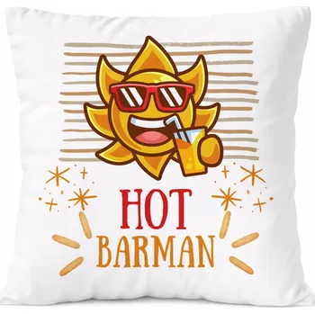 Obraz Polštář pro alkoholika jako Dárek s potiskem bílý PoliDraw