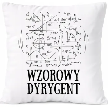 Polštář Polštář pro horolezce jako Dárek s potiskem bílý PoliDraw