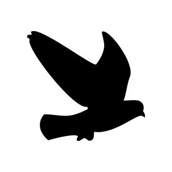 Samolepka - silueta dravce - proti narážení do skla - Dravec 7, 420 x 392mm