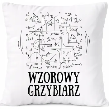 Obraz Dárek Polštář s potiskem , bílý PoliDraw