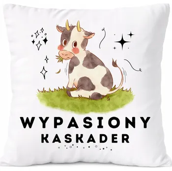 Polštář Polštář Pro Babičku jako Dárek s potiskem Fotografie Bílý PoliDraw