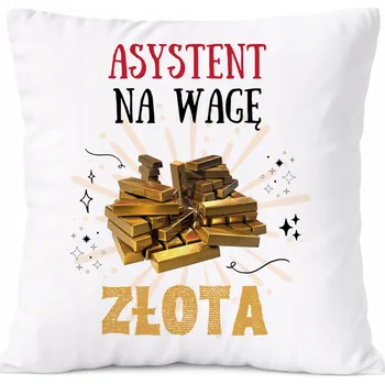 Polštář Dárek Polštář pro architekta s potiskem , bílý PoliDraw