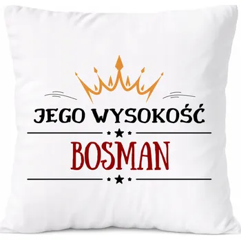 Polštář Zámečnický Polštář s potiskem Dárek bílý PoliDraw