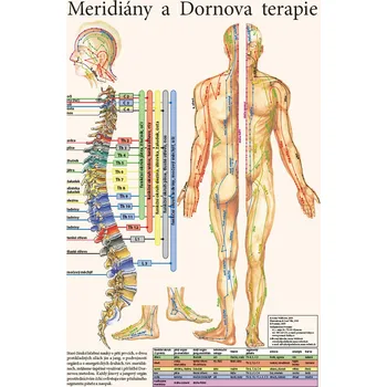 Plakát Meridiány a dornova terapie - plakát