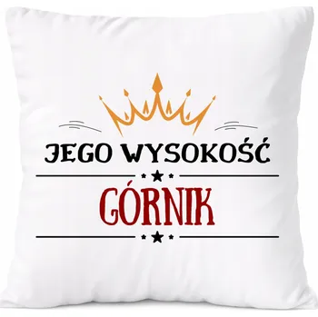 Polštář Zámečnický Polštář s potiskem Dárek bílý PoliDraw