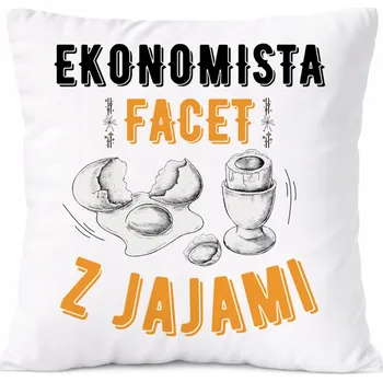 Polštář Polštář Ambassador s potiskem Dárek , PoliDraw