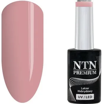 Přípravek na nehty NTN Premium hybridní lak Romantica Collection 5g č. 106