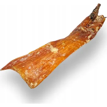 Pamlsek pro psa HOVĚZÍ ŠLACHA pro PSA TVRDÁ SUŠENÁ PŘÍRODNÍ ŽVÝKACÍ KOST Za Psí Groš 1 ks