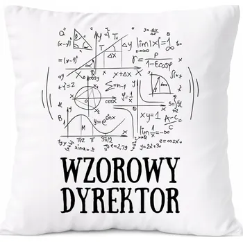 Polštář Detektivní Polštář s potiskem Dárek , PoliDraw