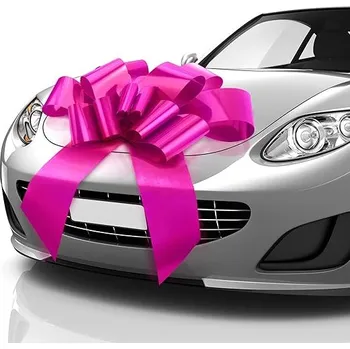 Obraz MAŠLE DÁRKOVÁ VELKÁ S PŘÍSAVKAMI NA AUTO 76 cm RŮŽOVÁ XXL VELKÁ