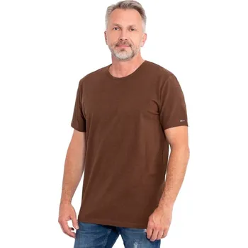 Pánské tričko Pánské tričko HAGRID NV Hnědá 4XL